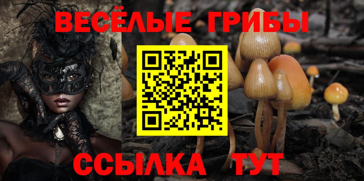 Псилоцибиновые грибы Psilocybe  Галлюциногенные грибы ЛСД  Урюпинск  Вход с VPN 